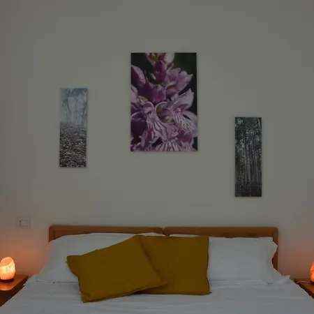 Bed and Breakfast Ca' Serafina Bagno di Romagna